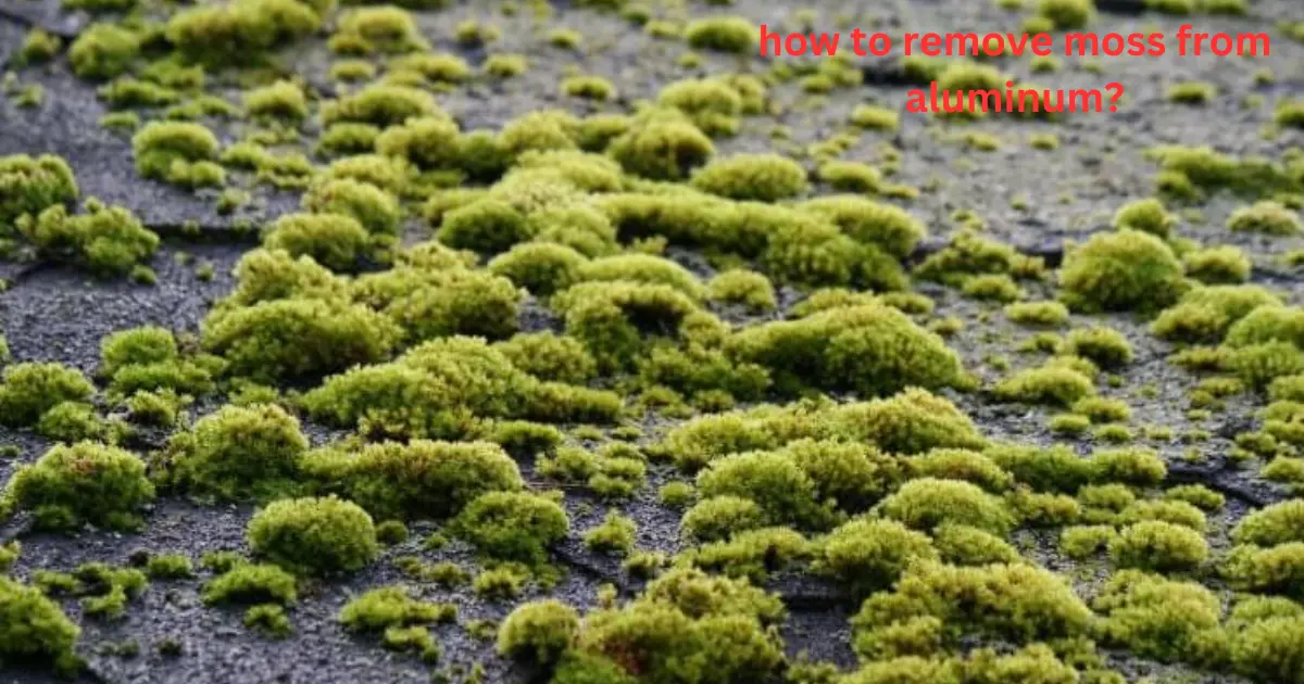 how to remove moss from aluminum