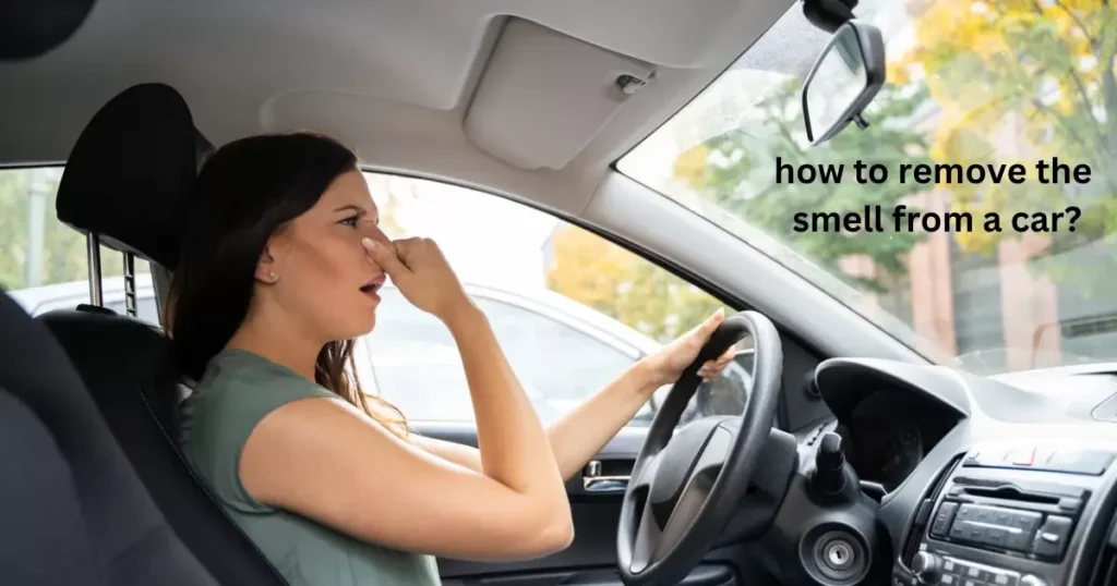 how to remove the smell from a car