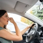 how to remove the smell from a car